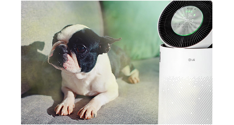 去除寵物異味  光觸媒濾網的除臭效果比標準濾網提高55％，讓家裡聞起來清新舒暢