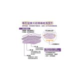 PINOH 品諾［手持款式用］超導纖維清潔布6包組
