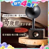 【SANGEAN】蕭邦調頻/藍牙喇叭收音機