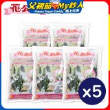 花公主多肉植物專用石 2L