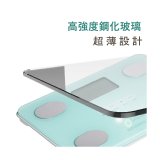 【TANITA】四合一基本款體組成計FS-102