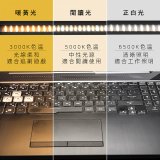 【KINYO】防眩光螢幕掛燈40cm (PCED-805)