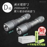 RONEVER 專業級變焦手電筒 PA-NICHIA319 (附電池收納盒)