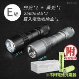 RONEVER 專業級變焦手電筒 PA-NICHIA319 (附電池收納盒)