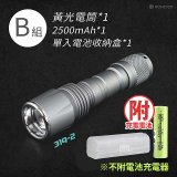 RONEVER 專業級變焦手電筒 PA-NICHIA319 (附電池收納盒)