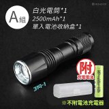 RONEVER 專業級變焦手電筒 PA-NICHIA319 (附電池收納盒)