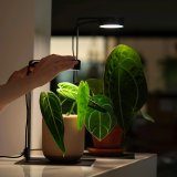 ONF MIST O 植霧光 隨吸植物培育燈具