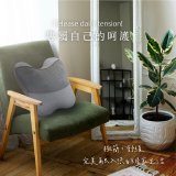 【KINYO】 隨時躺電動腰背按摩枕 (IAM-2704)