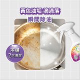 一級淨 電解EX除油垢極淨噴霧／替換瓶