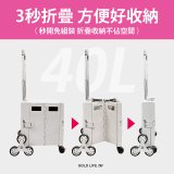 《GOLD LIFE》萬能好收納掀蓋式購物推車40L 爬梯款