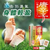 【Sunlus三樂事】唐辛子保健貼布24入