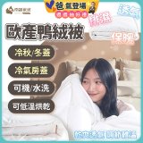 南誠嚴選 JIS70%｜85%｜93% 歐產鴨絨被｜空調被