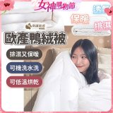 南誠嚴選 JIS70%｜85%｜93% 歐產鴨絨被｜空調被