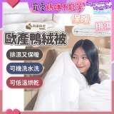 南誠嚴選 JIS70%｜85%｜93% 歐產鴨絨被｜空調被