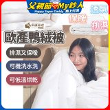 南誠嚴選 JIS70%｜85%｜93% 歐產鴨絨被｜空調被
