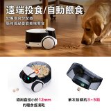 ROLA PetPal 寵物陪伴機器人