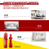 【KINYO】台灣製 火剋星泡沫滅火器 居家車用三合一設計 滅火/切割/破窗 (EX-009)