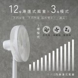 【KINYO】14吋無刷遙控靜音省電DC扇 (DCF-1408)