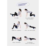 【 rubber anne 】 迷彩瑜珈按摩滾輪