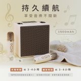 【KINYO】經典K歌藍牙喇叭 (KY-2040)