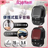 AIWA 愛華 便攜式藍牙音箱 CP-X30