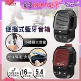 AIWA 愛華 便攜式藍牙音箱 CP-X30