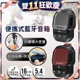 AIWA 愛華 便攜式藍牙音箱 CP-X30