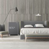 飛利浦PHILIPS 保管櫃/保險箱 SBX202