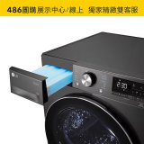 【南部限定】LG 免曬衣乾衣機｜10公斤 (尊爵黑) WR-100VB