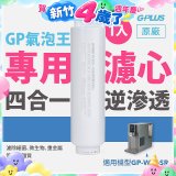 GP氣泡王-專用四合一逆滲透複合濾心