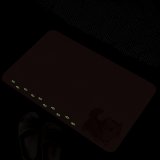 【日竹門】頂級吸水地墊-貓咪夜光-尖耳灰紋