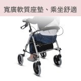 【康揚】輕鬆行100 助行車 EZ Walker 100