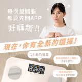 【KINYO】VA彩色螢幕家用藍牙體脂計(DS-7321)