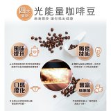 震旦嚴選 光能量咖啡豆 經典系列-光能量1號(1磅) 中焙 HX-CB-01