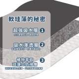 【rubber anne】頂級吸水地墊-金/銀雕花(60*40cm)
