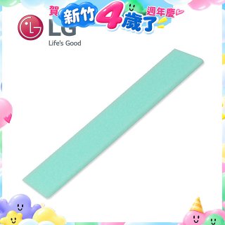 LG原廠 掃地機器人海棉濾網