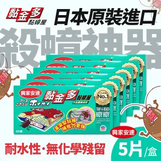 黏蟑屋始祖
