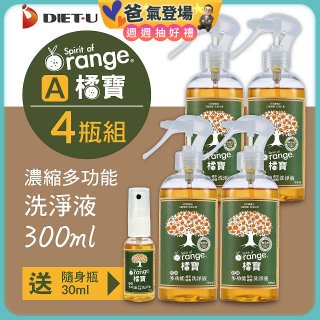 橘寶濃縮多功能洗淨液【加贈1瓶30ml隨身瓶】