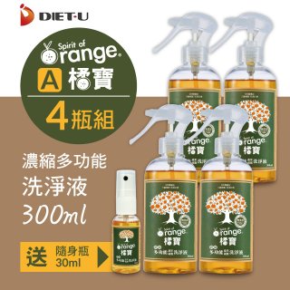 橘寶濃縮多功能洗淨液【加贈1瓶30ml隨身瓶】