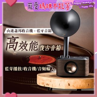 【SANGEAN】蕭邦調頻/藍牙喇叭收音機