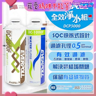 EVERPOLL UVC-903 雙道全效淨水器專用【濾芯組】DCP-3000