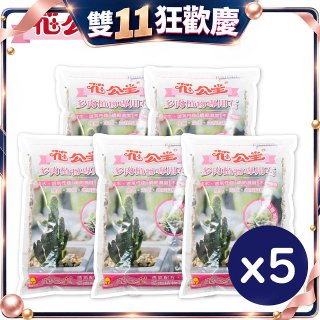 花公主多肉植物專用石 2L