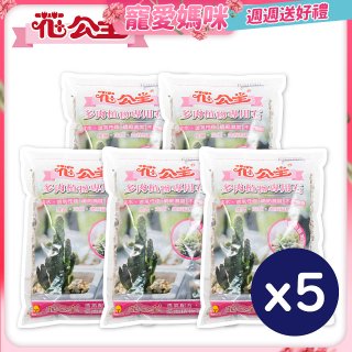 花公主多肉植物專用石 2L