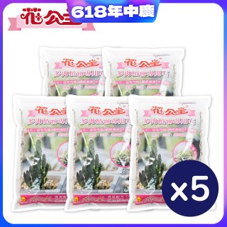 花公主多肉植物專用石 2L