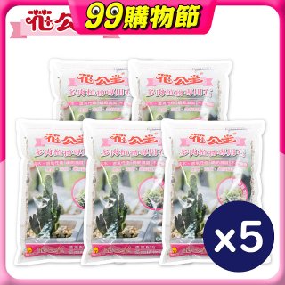 花公主多肉植物專用石 2L