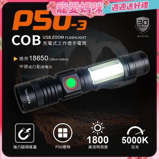 RONEVER 充電式手電筒 PA-P50-3 (附電池收納盒) 