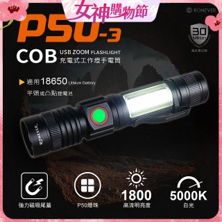 RONEVER 充電式手電筒 PA-P50-3 (附電池收納盒) 