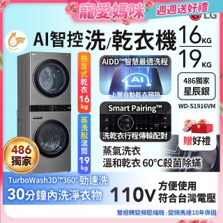 【母親節下殺加碼送】486xLG獨家 WashTower™ AI智控洗乾衣機｜洗衣19公斤+乾衣16公斤 星辰銀 (WD-S1916VM)