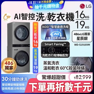 486xLG獨家 WashTower™ AI智控洗乾衣機｜洗衣19公斤+乾衣16公斤 星辰銀 (WD-S1916VM)