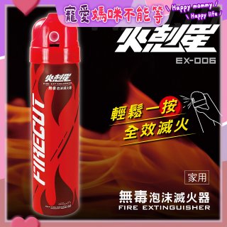 【KINYO】台灣製 火剋星泡沫滅火器 (EX-006)